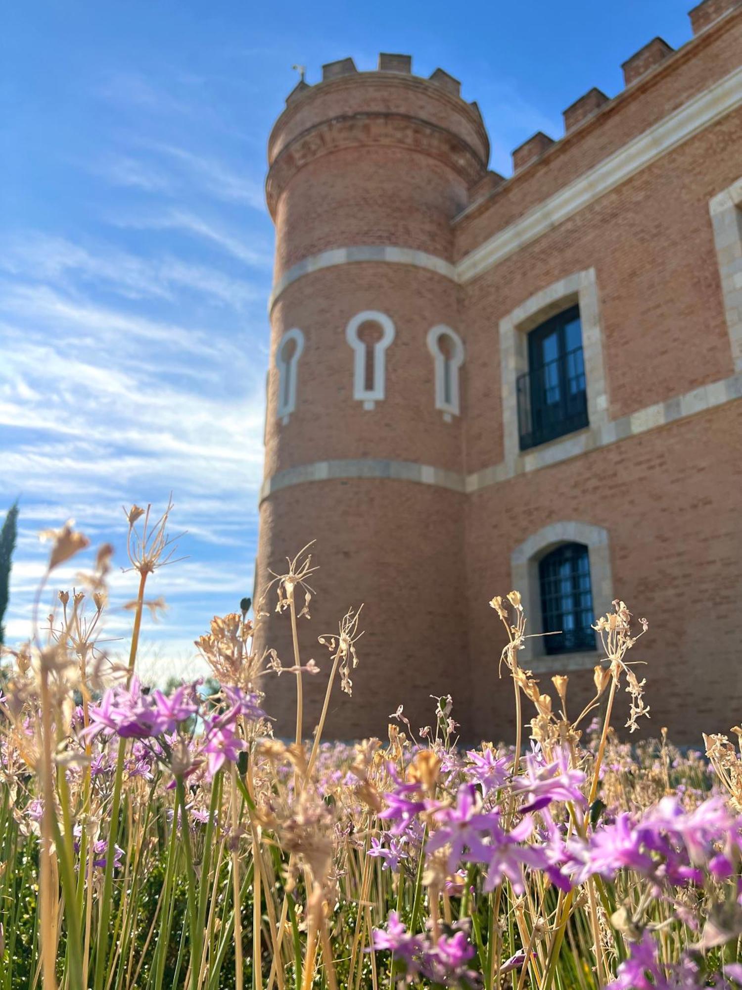 Castillo De Monte La Reina Posada Real & Bodega Toro Exterior foto